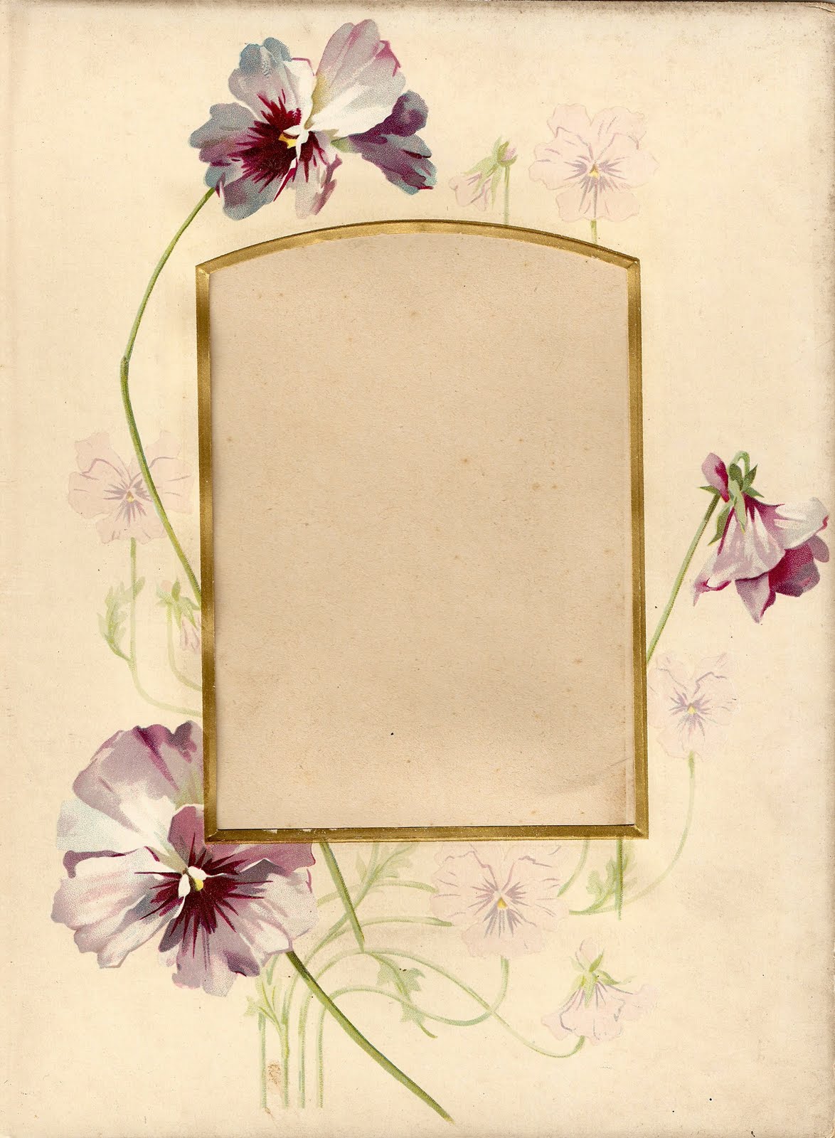 [ScannedImage-2.jpg]