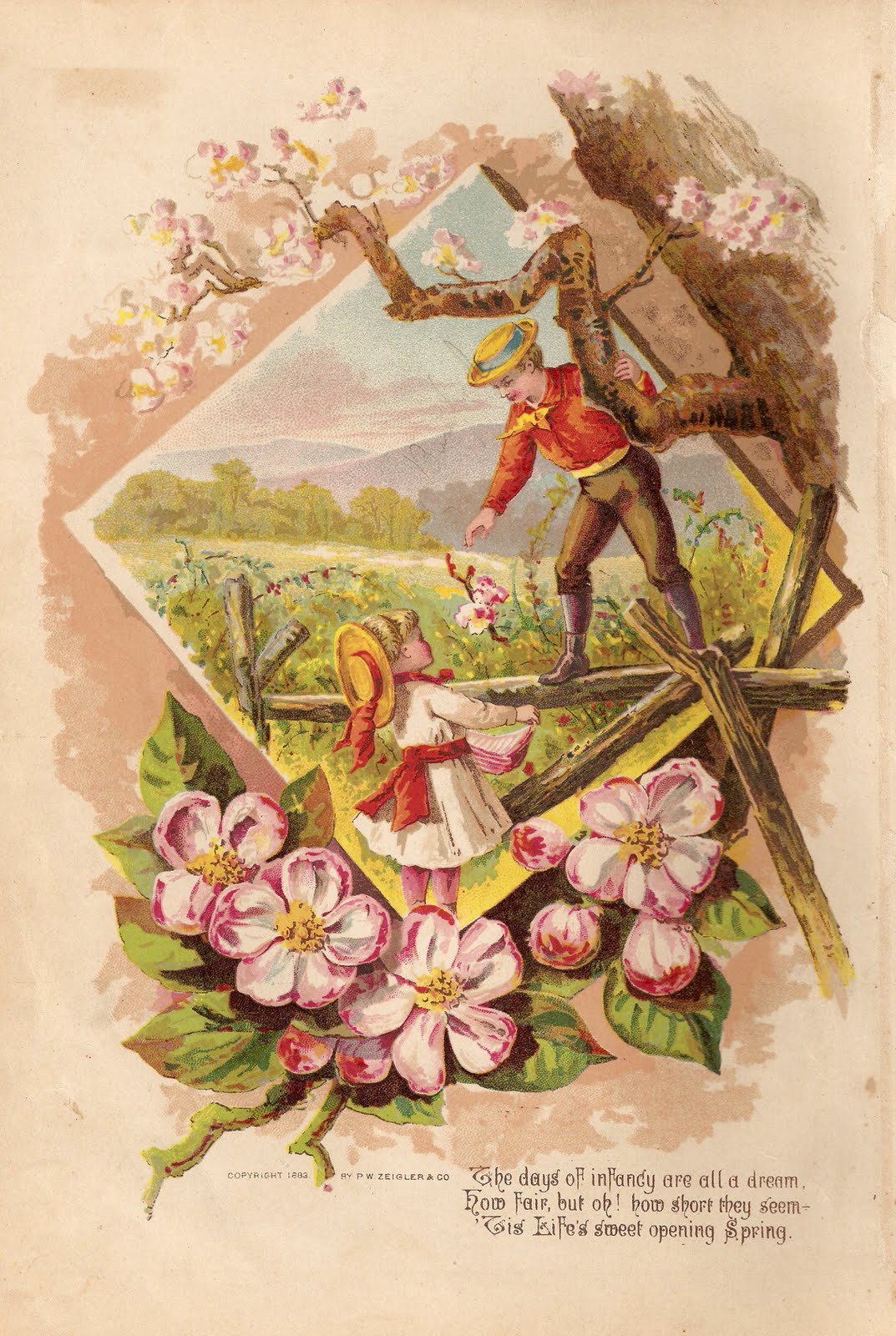 [ScannedImage-15.jpg]