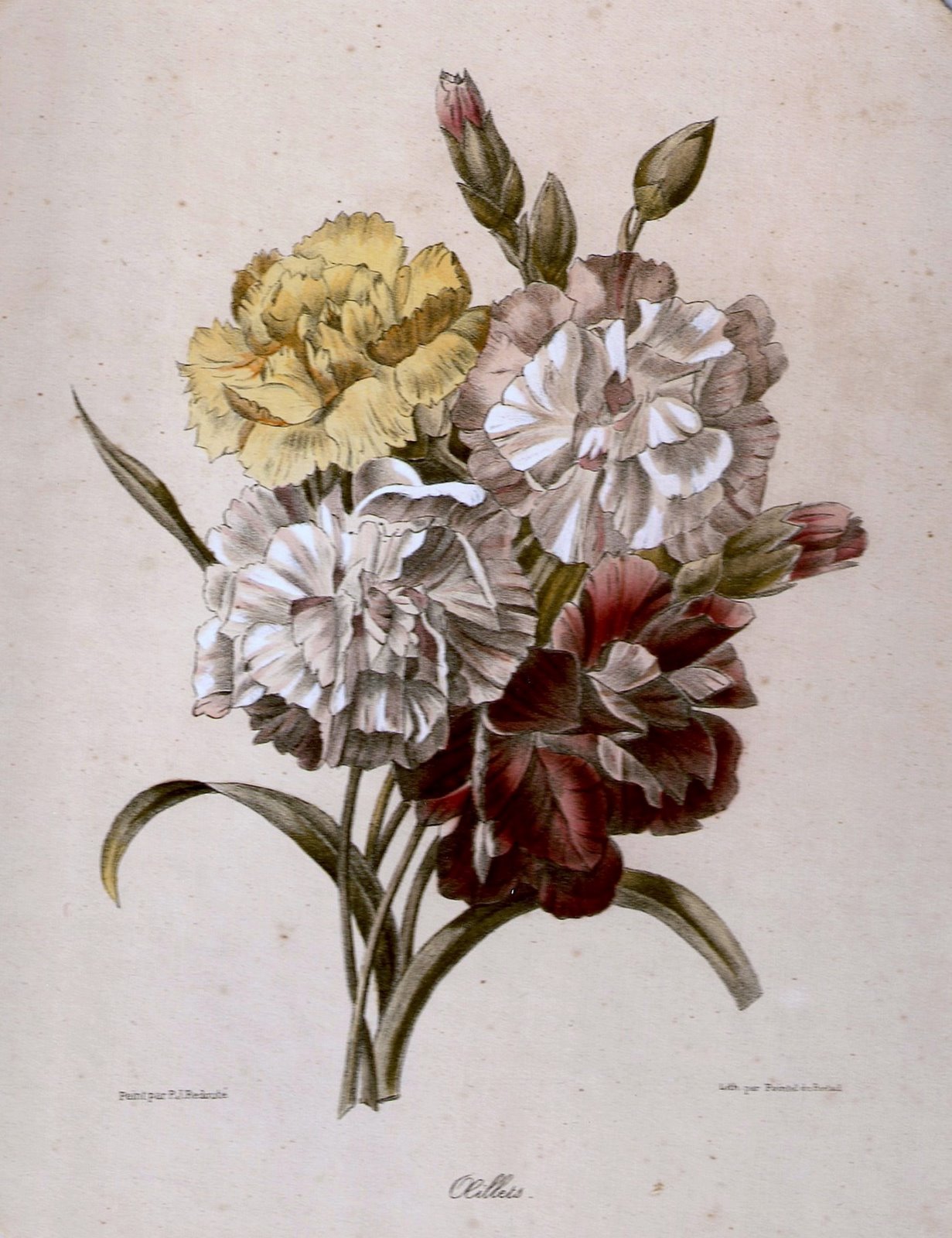 [ScannedImage-6.jpg]