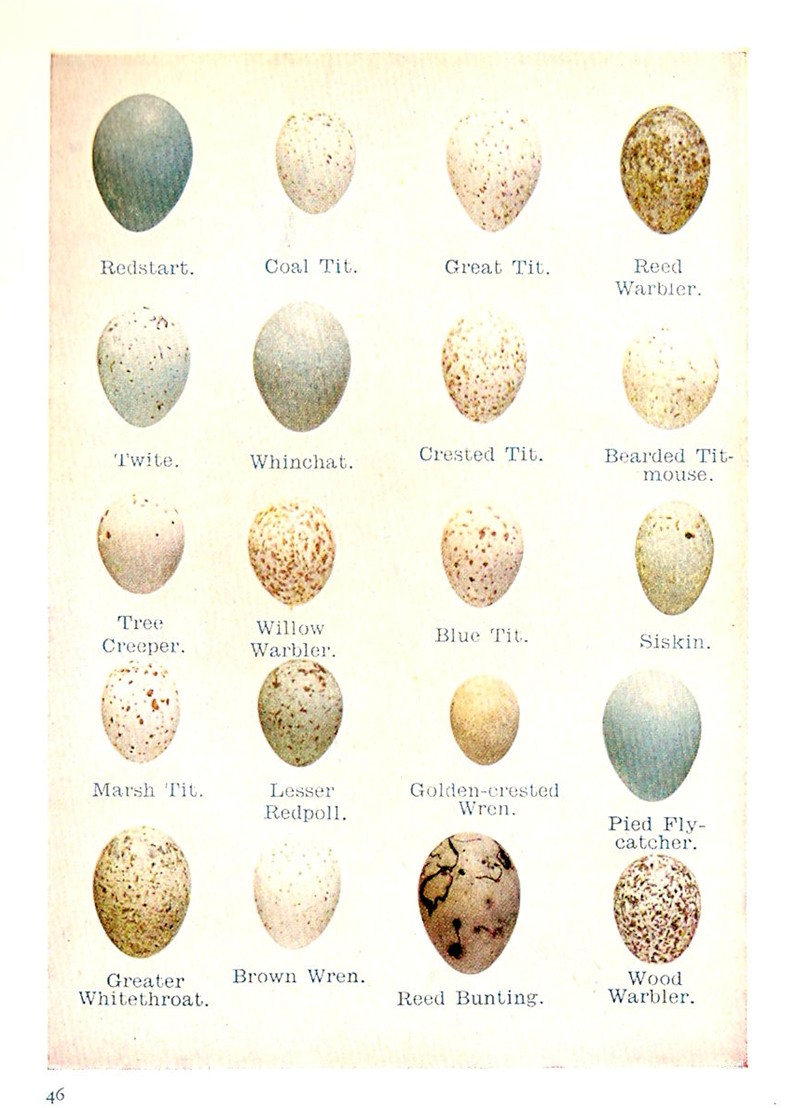 [ScannedImage-6.jpg]