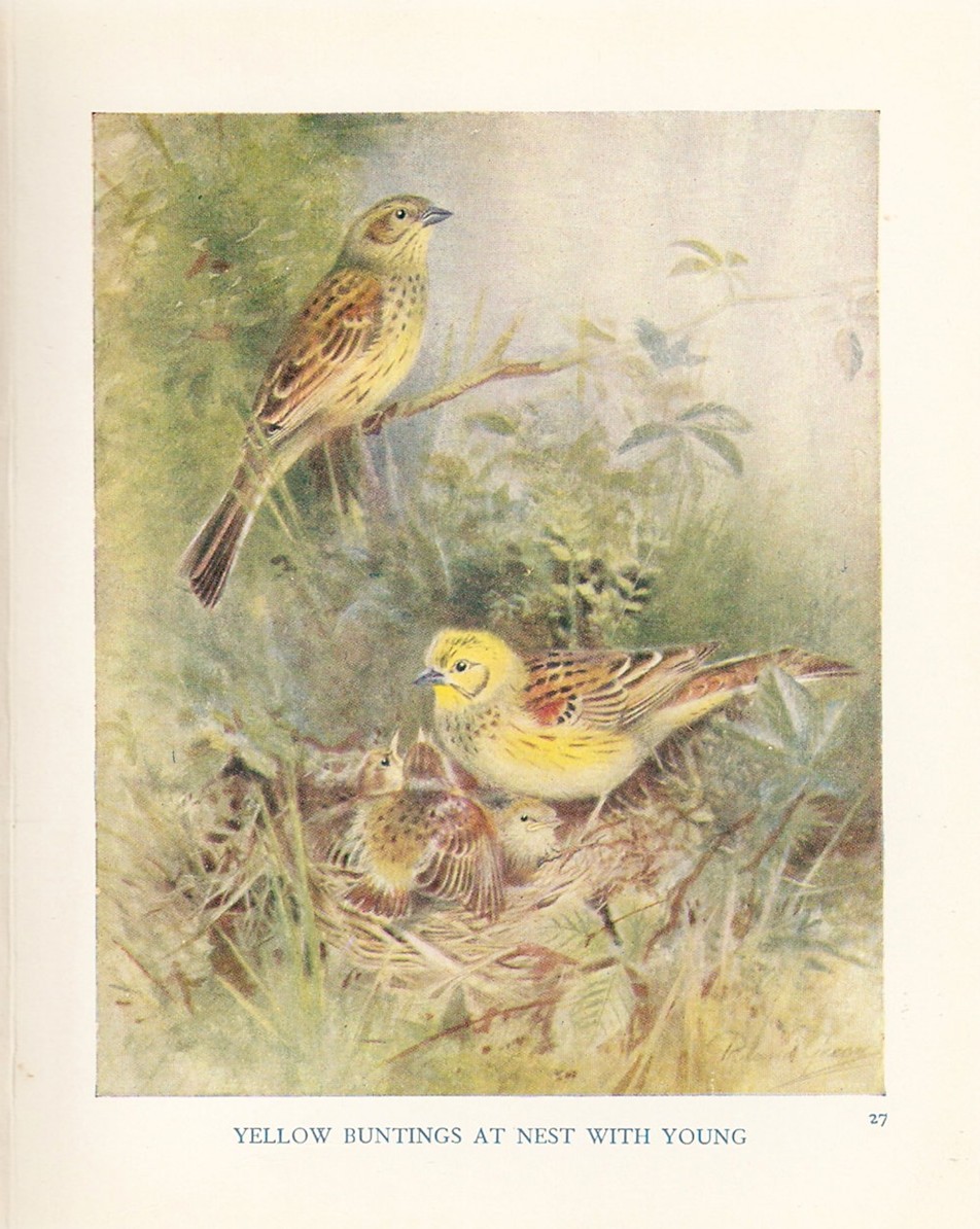 [ScannedImage-5.jpg]