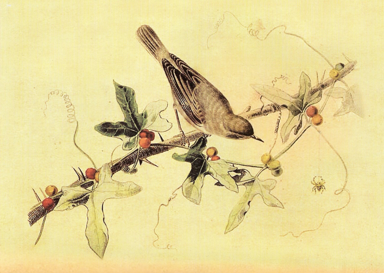 [ScannedImage-6.jpg]