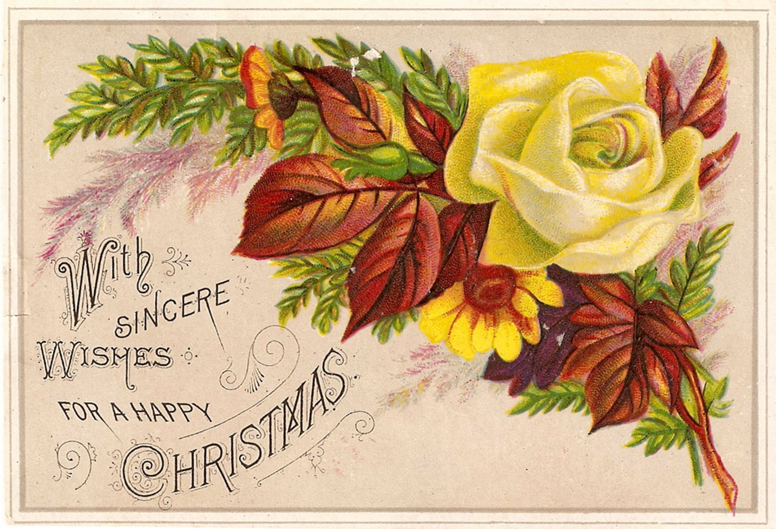 [ScannedImage-36.jpg]