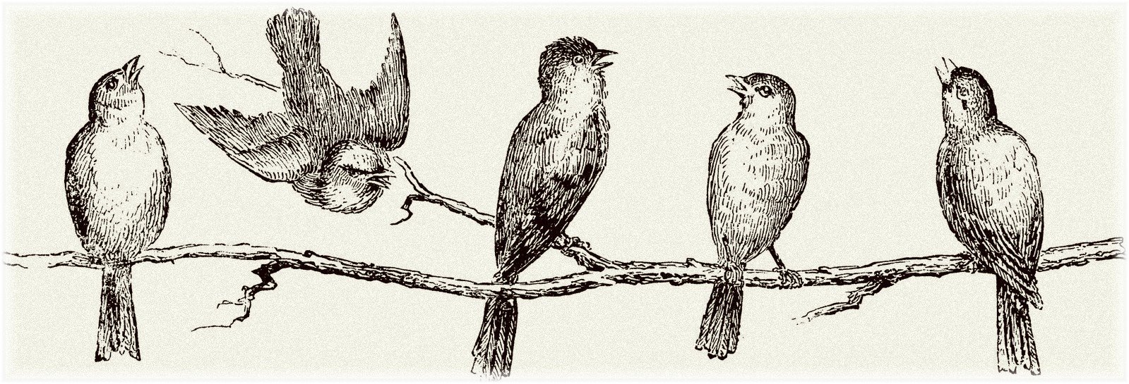 [5-birdsantique.jpg]