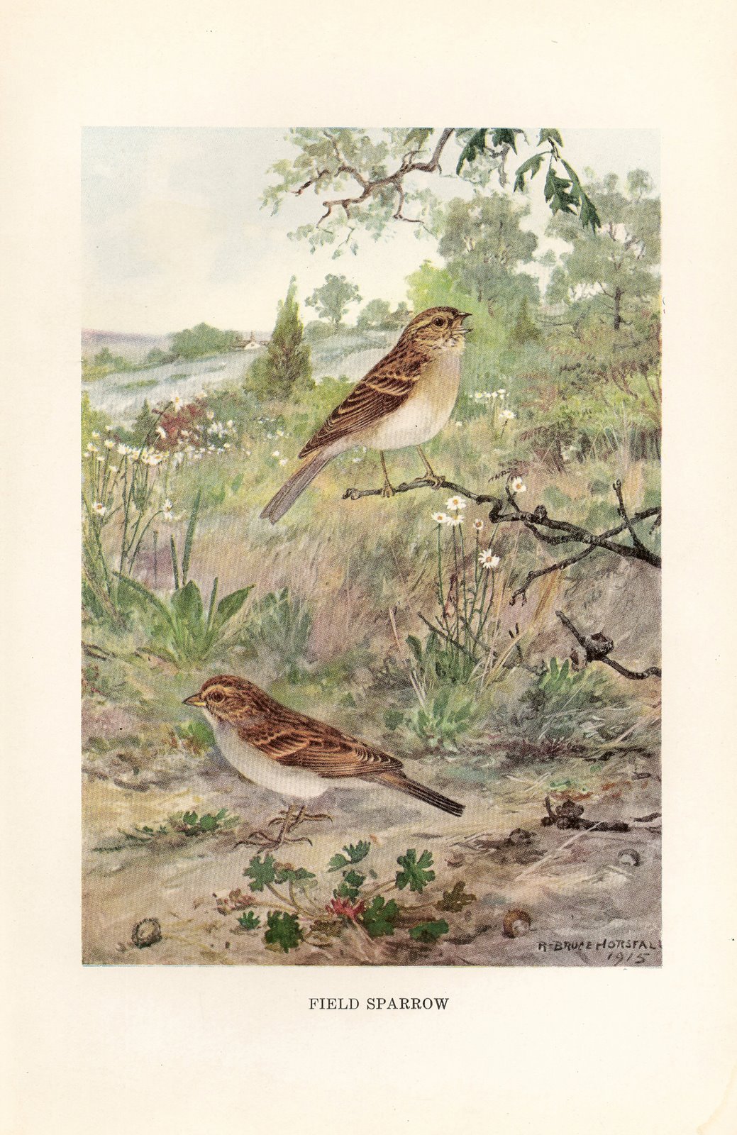 [ScannedImage-2.jpg]