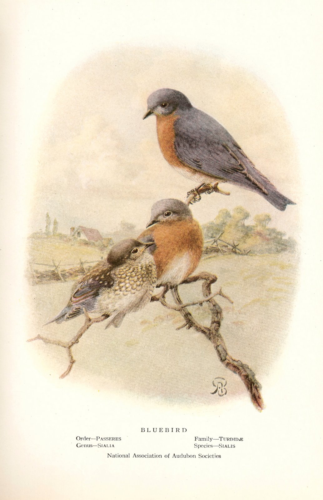 [ScannedImage-7.jpg]