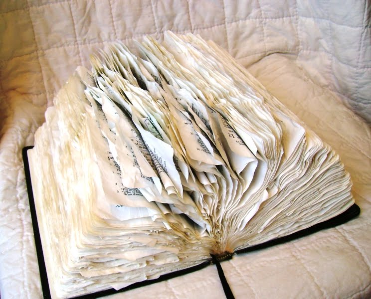 [Sallys+Bible.JPG]