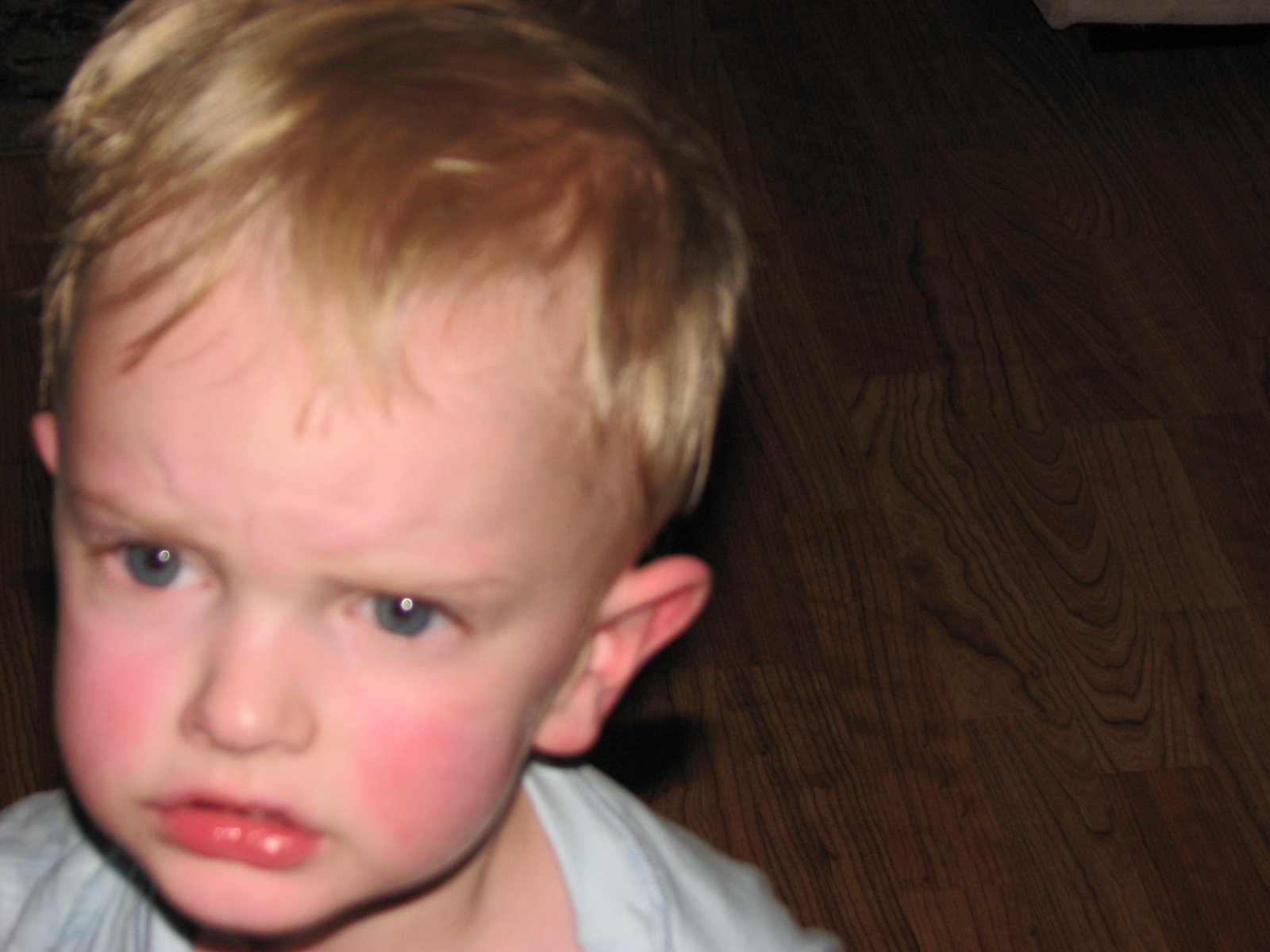 [June+9+2009+053.jpg]