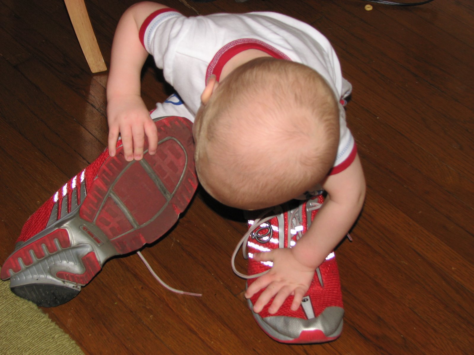 [Justus+Fruit+2+Day+Bebe+026.jpg]