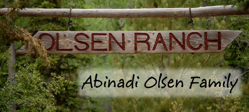 Abinadi Olsen Family