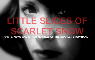 little slices of scarlet | snow