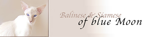 Weitere Informationen unter www.balinesen.ch