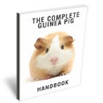 Great Book