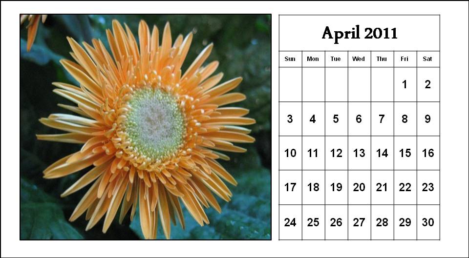 april may calendar 2011 printable. april 2011 calendar printable