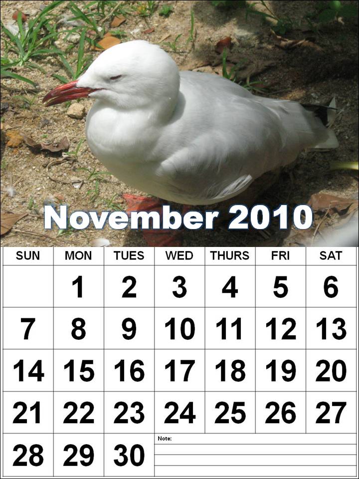 november 2010 calendar. november 2010 printable