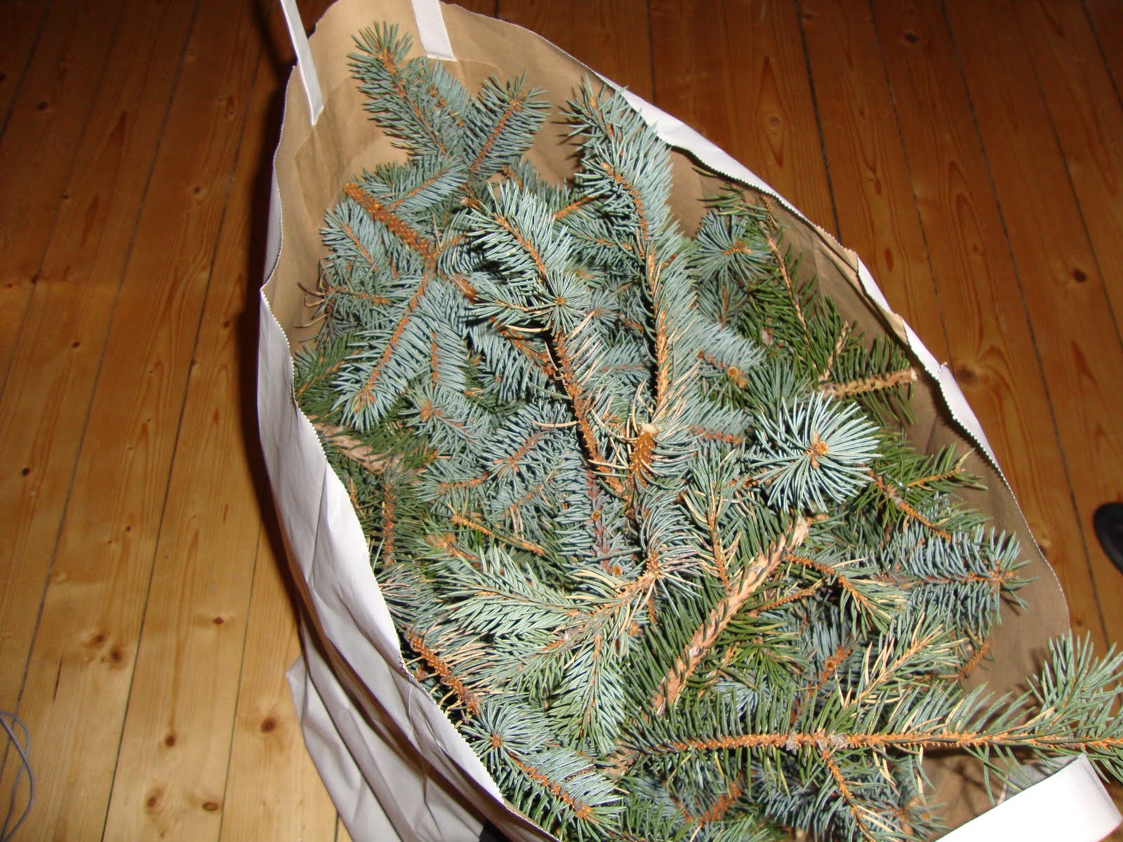 KLOCKARBARN Slänga en julgran som barrar