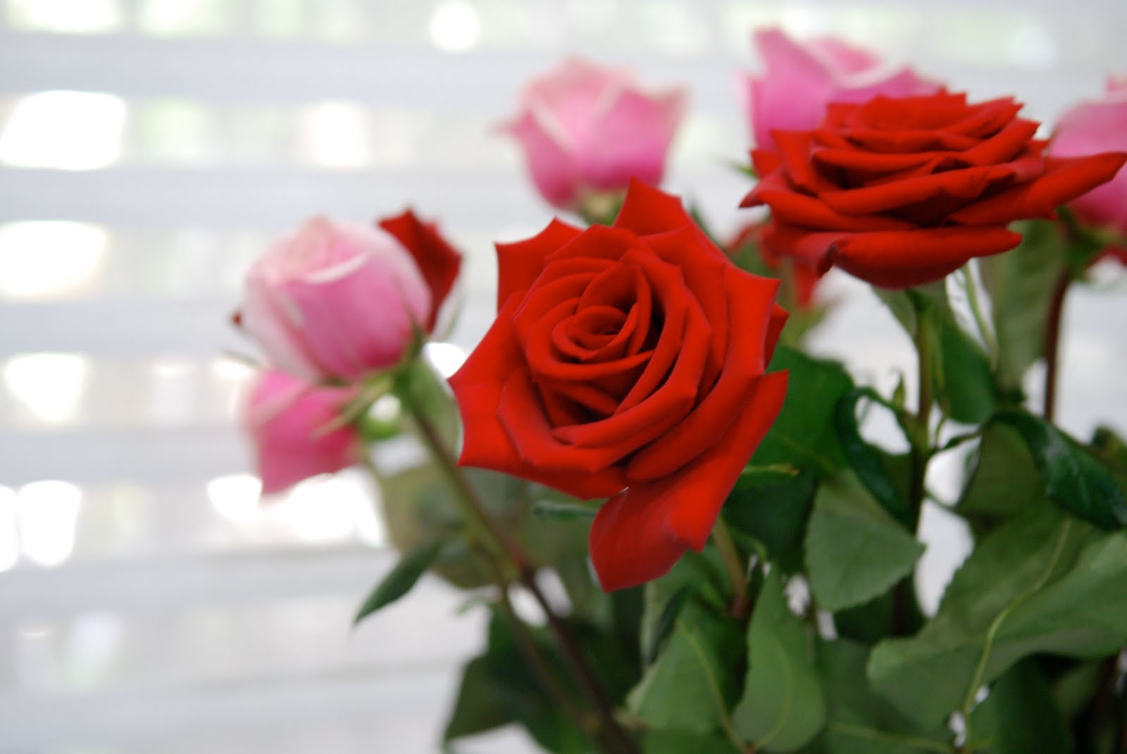 [DSC_0154.jpg]