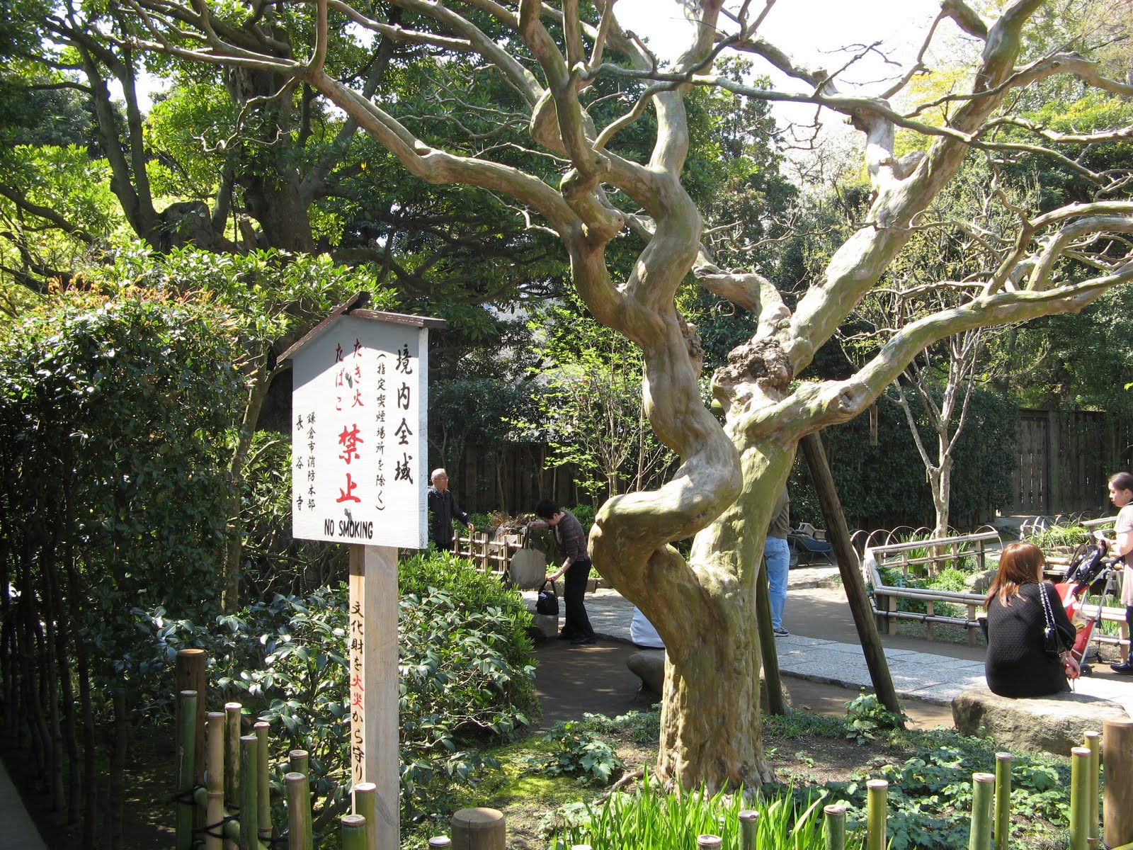 [Kamakura+061.jpg]