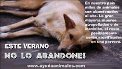 NO!!! AL ABANDONO DE ANIMALES!!!
