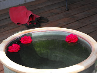 water and roses