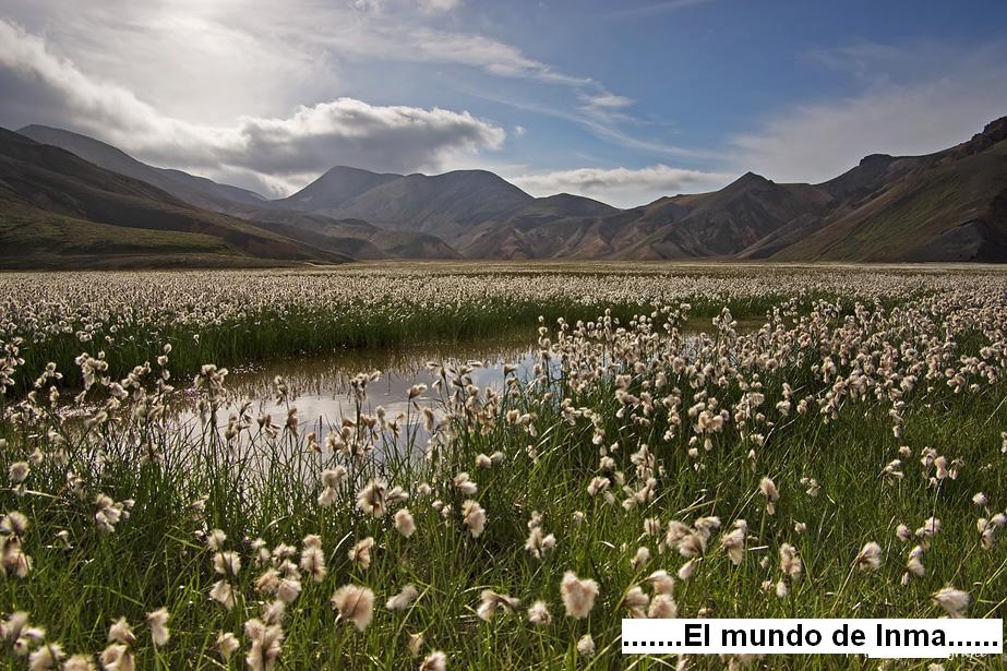 El mundo de Inma