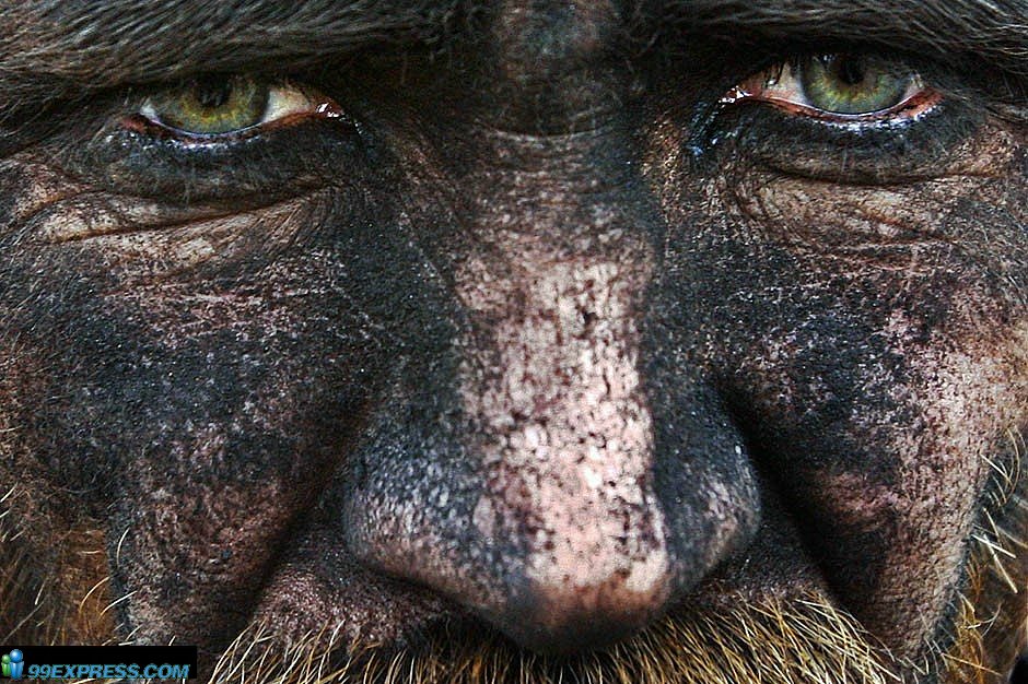 [shahteri-afgan-09.jpg]