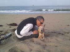 at the dog beach, 14 May 2010