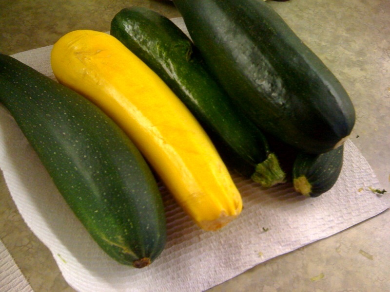 Family, Stamping and FOOD! RECIPE Summer Squash & Zucchini Quiche