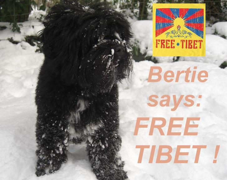 Bertie Says Free Tibet !