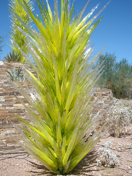 The Cactii Are Made of Glass