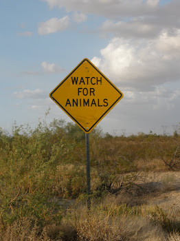[We] Watch for Animals!