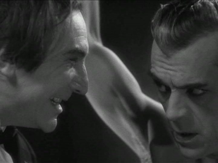 [Black+cat+-+ulmer+-+architecture+(4).JPG]