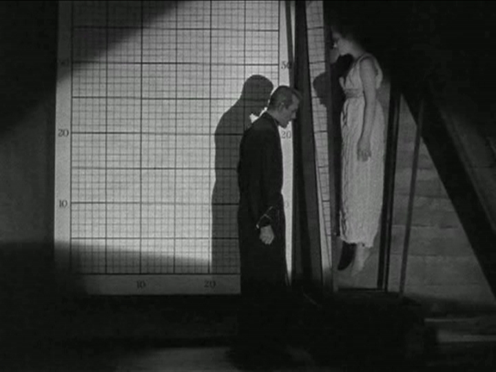 [Black+cat+-+ulmer+-+architecture+(2).JPG]