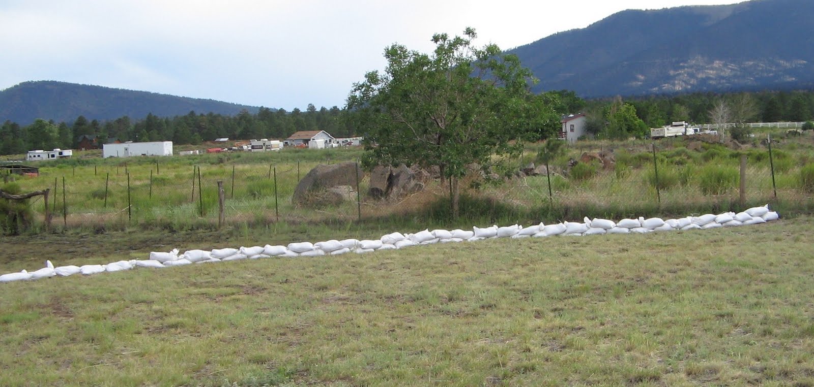 tiedyejudy's weblog: July 2010