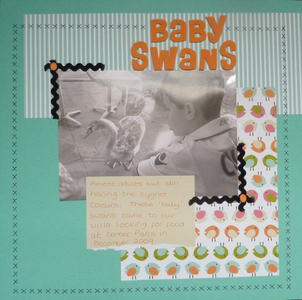 [Baby+Swans.jpg]