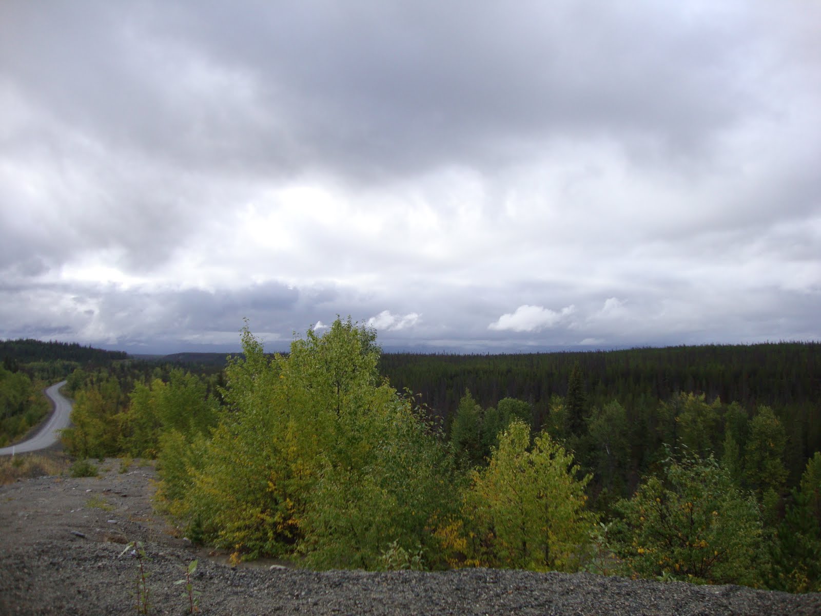 A Tangled b Day 7.........Nimpo Lake to Quesnel