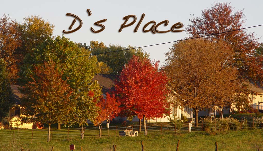 D's Place