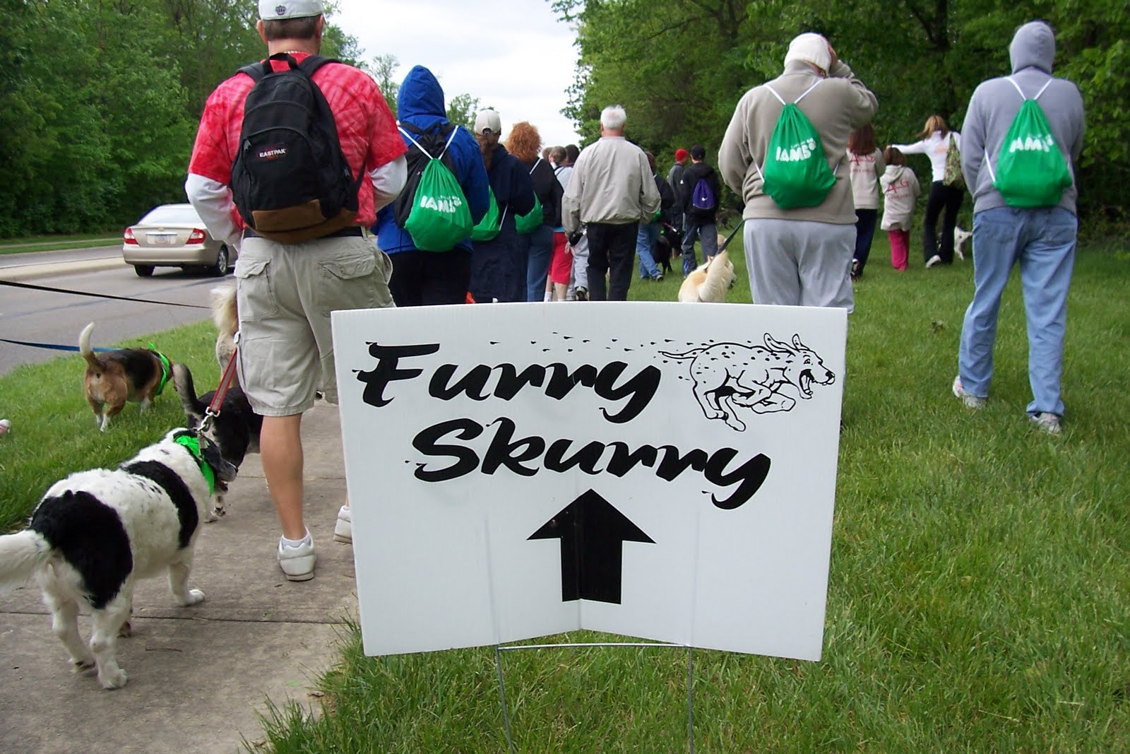 Traveling with K: Furry Scurry