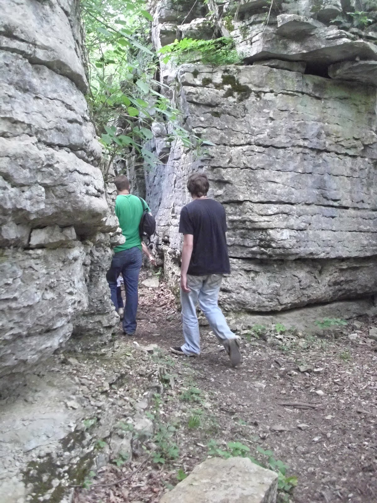 Monte Sano State Park Trail Map - Monte Sano Sink Trail 077.JPG