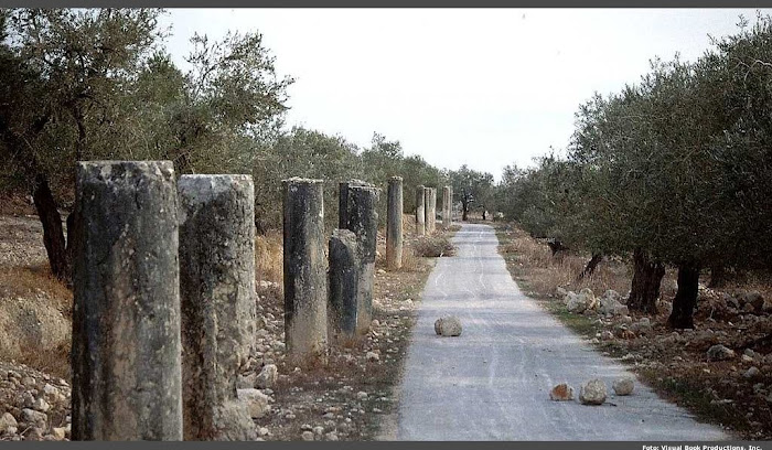 " Terra de Acabi."