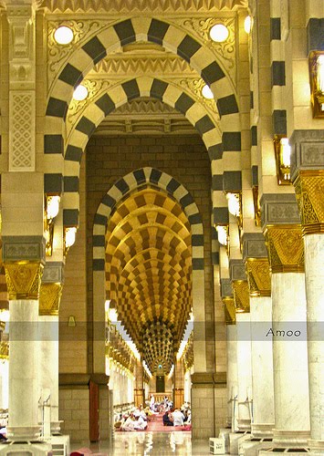 [3946888116_b4fb9fb534.jpg]