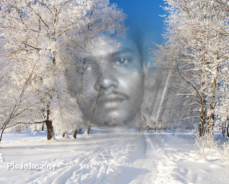 Latest hacking tricks Add funny effects to your photos using PicJoke