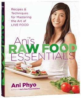 Ani’s Raw Food Essentials by Ani Phyo VeganeClub 2 Ani’s Raw Food Essentials by Ani Phyo VeganeClub