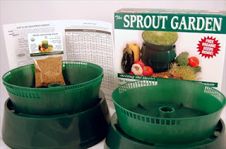 The Sprout Garden from Handy Pantry VeganeClub