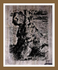 Be Funky Labradoodle 1