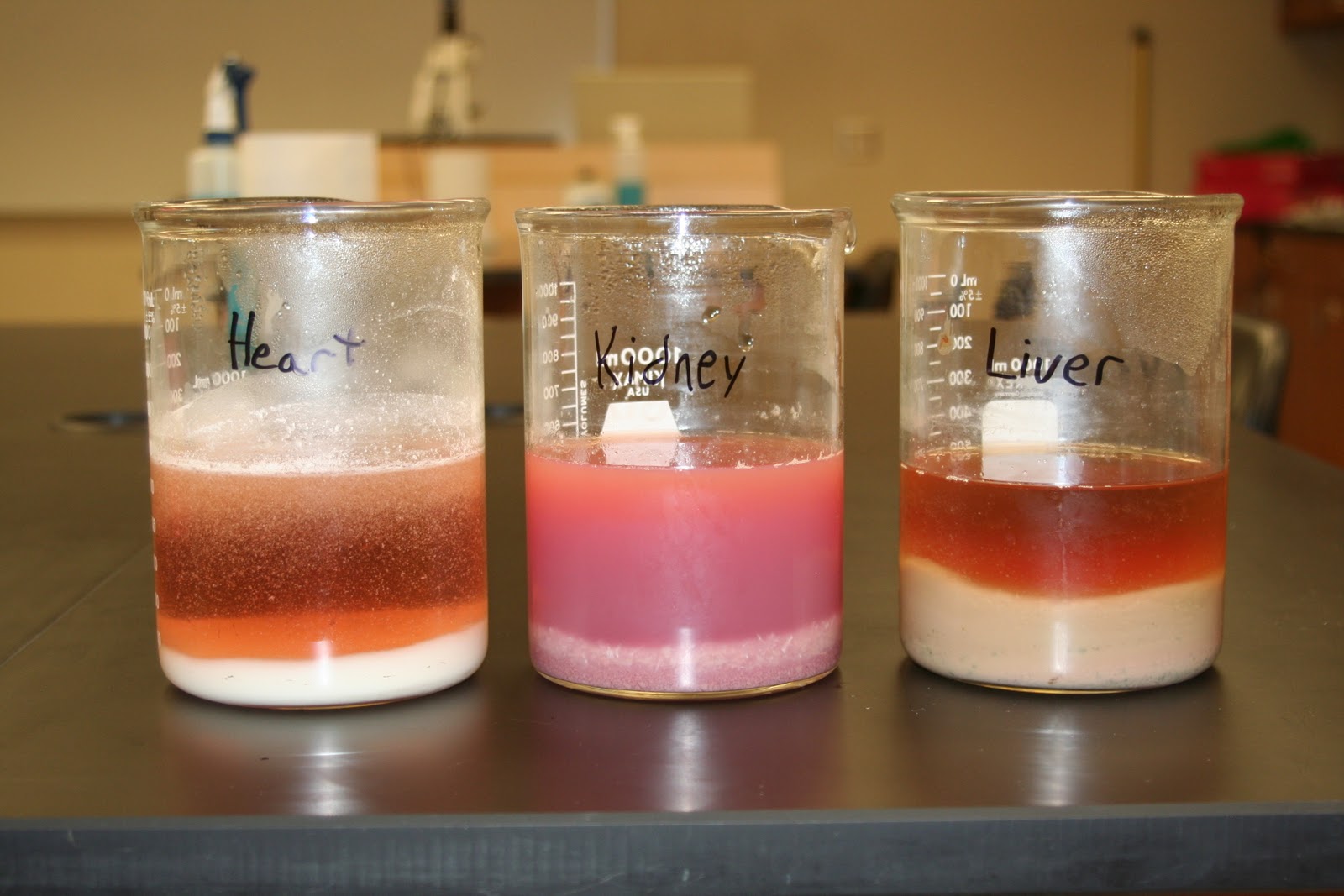 Пероксид в горячей воде. Каталаза. Обнаружение каталазы в крови. Каталаза фото. Тест на каталазу микробиология.