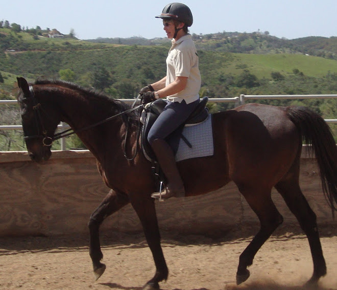 Valerie riding Pow Wow, a thoroughbred gelding up for adoption