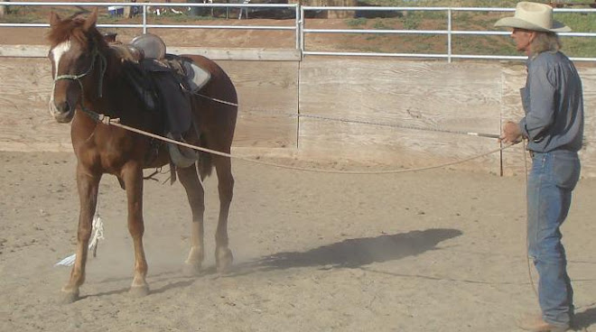 Sparkle getting used to the flag