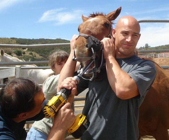 Shaman getting his teeth floated by Dr. Moss