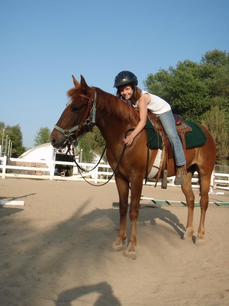 Sparkle the mustang saved from slaughter